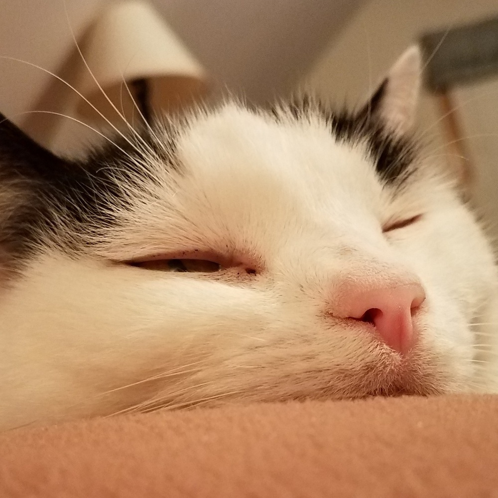 Meet your Posher, Marlene